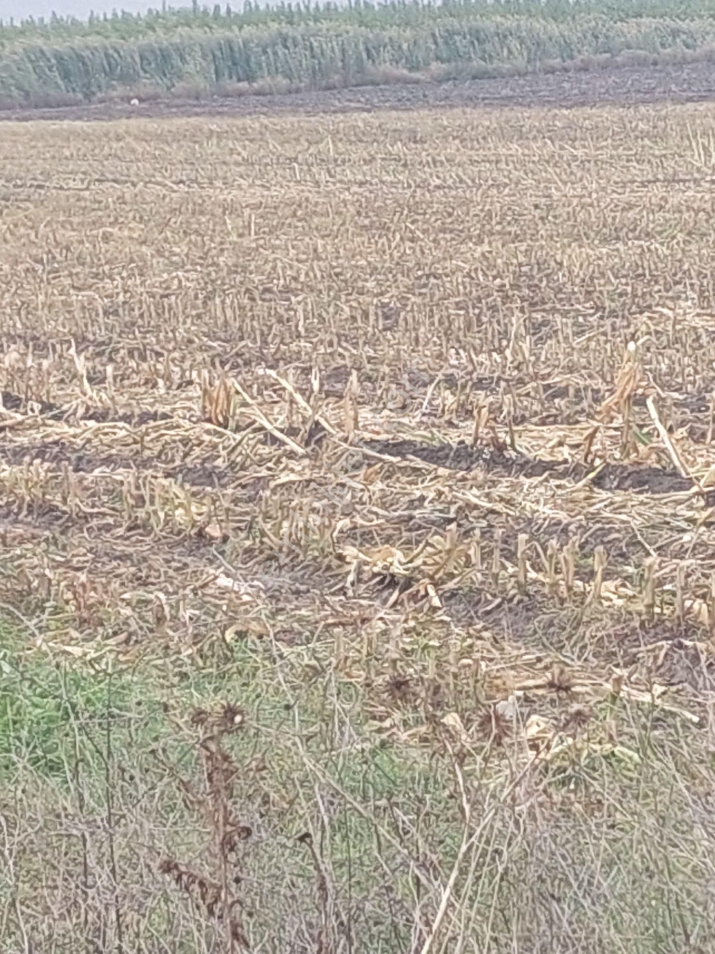 Anayola Cephe Marmaracıkta - Görsel 10