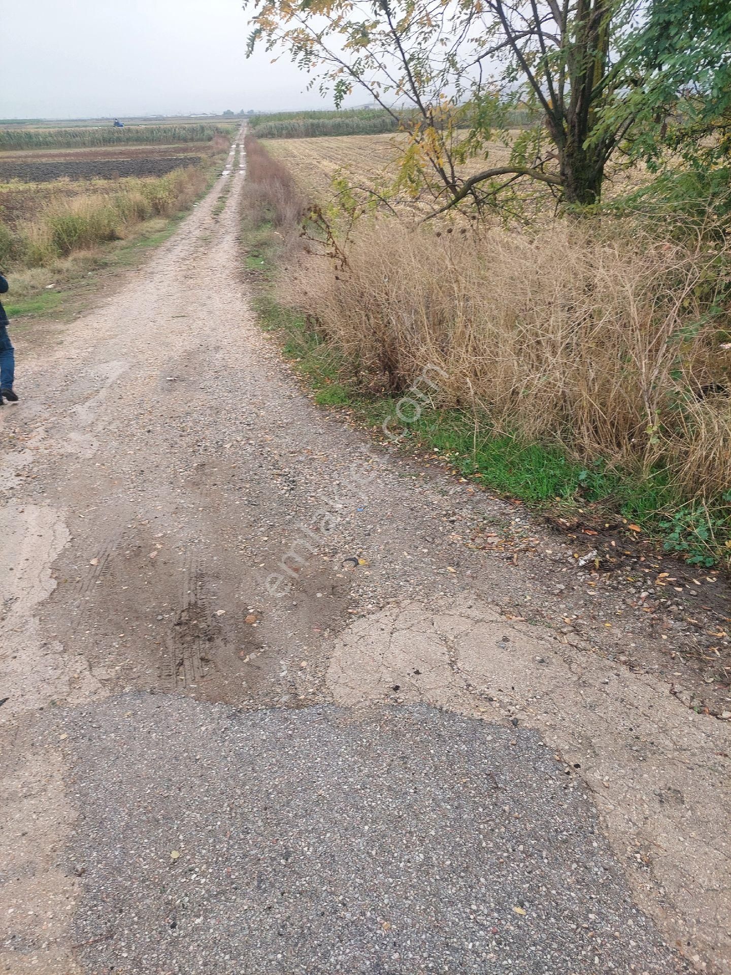 Anayola Cephe Marmaracıkta - Görsel 3