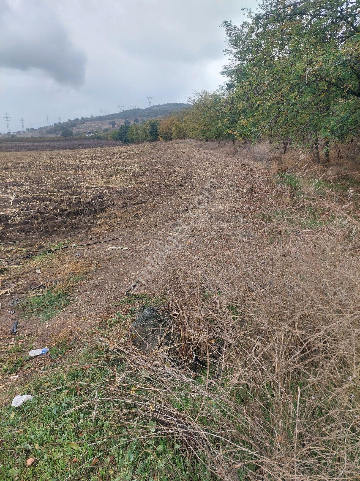 Anayola Cephe Marmaracıkta - Görsel 5