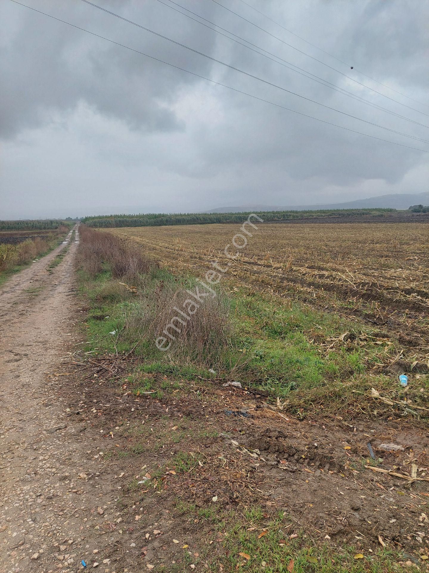 Anayola Cephe Marmaracıkta - Görsel 7