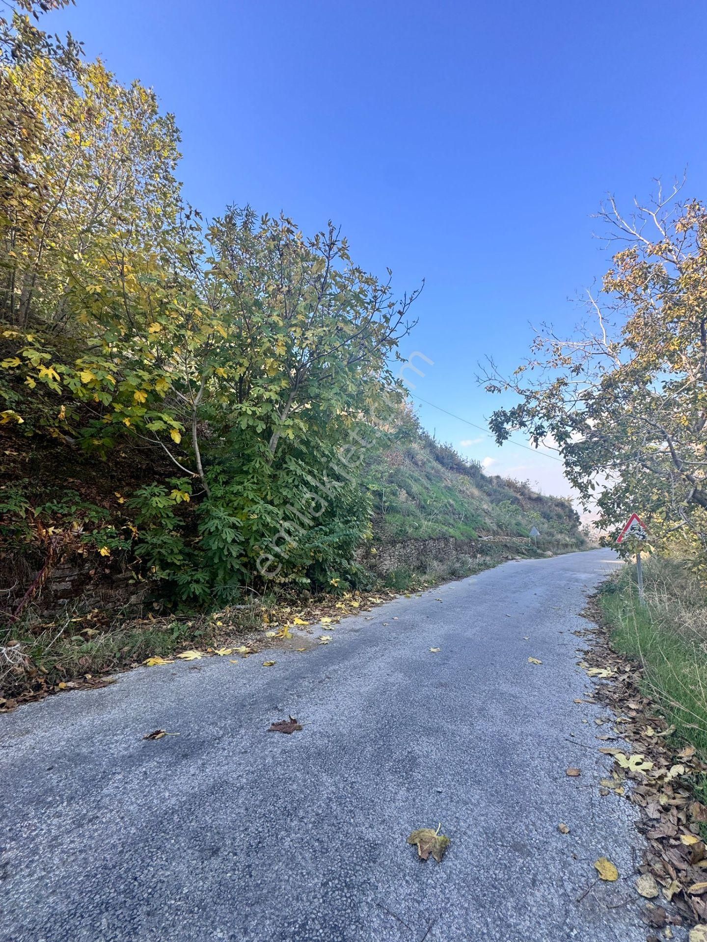 Kaçmazer'den Tire Cambazlı Köyün'de Yatırımlık Satılık Arazi - Görsel 3