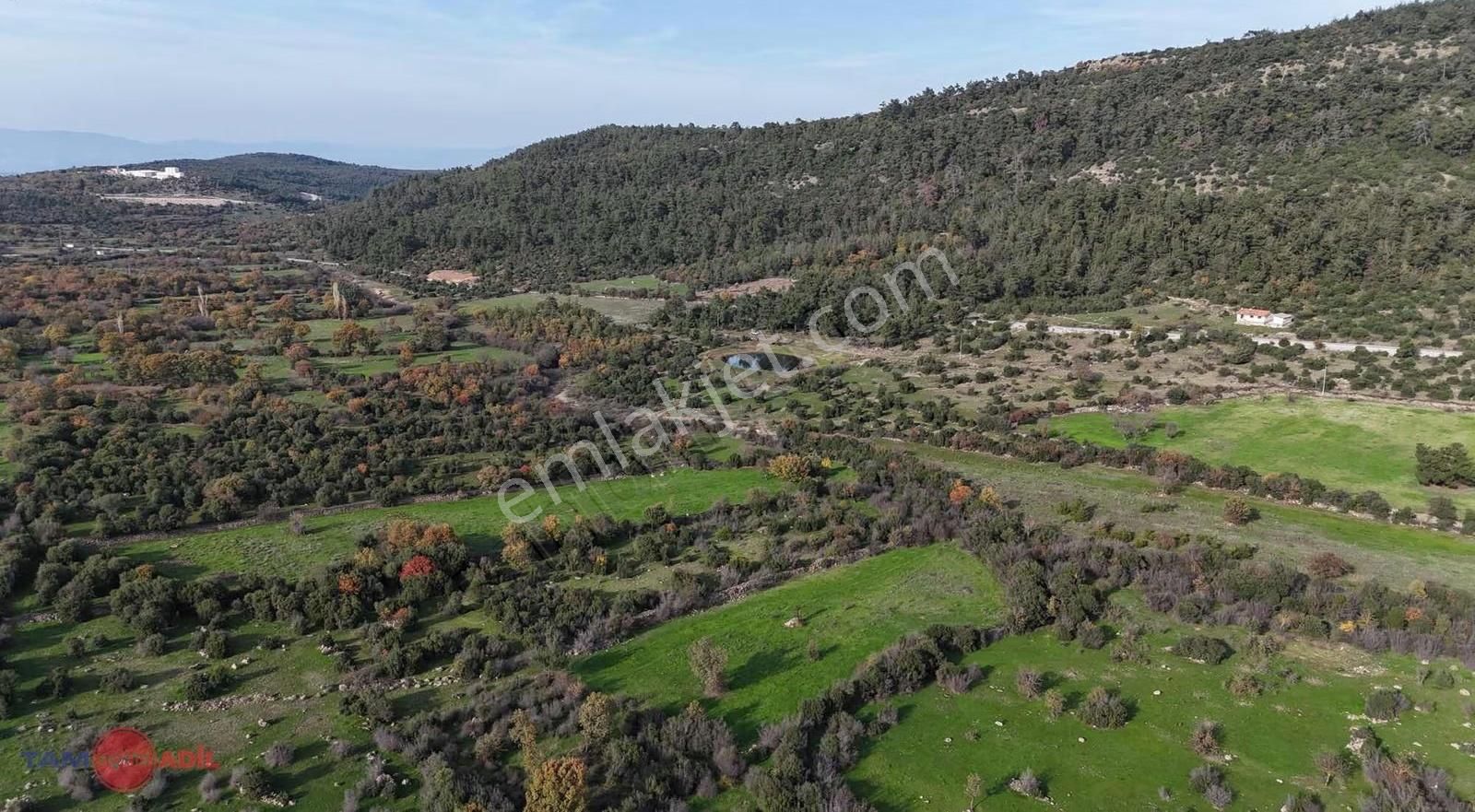 Bergama Bekirler Köyünde 9.613 M² Satılık Arazi - Görsel 3