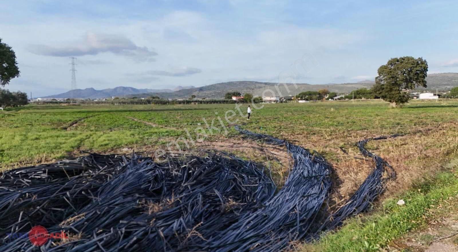 Dikili Kabakumda 36.852 M² Yatırımlık Satılık Tarla - Görsel 15