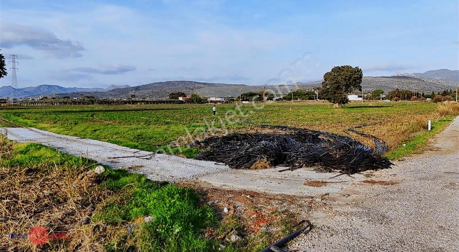 Dikili Kabakumda 36.852 M² Yatırımlık Satılık Tarla - Görsel 19