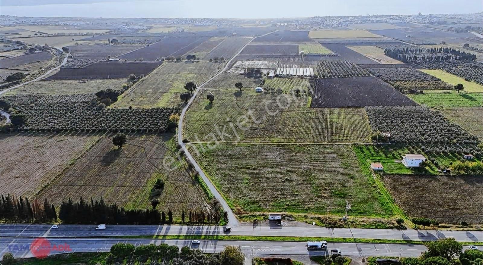 Dikili Kabakumda 36.852 M² Yatırımlık Satılık Tarla - Görsel 11