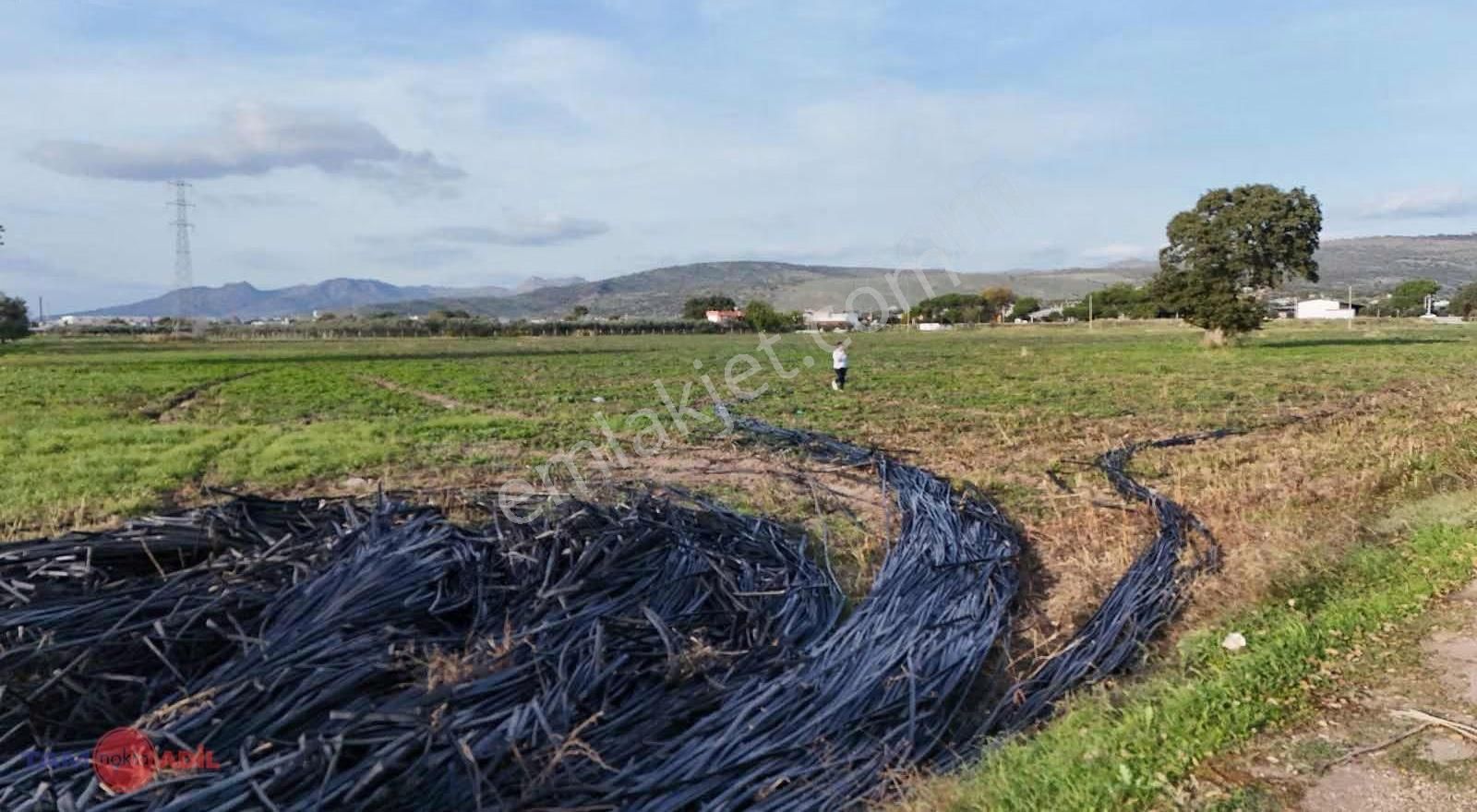 Dikili Kabakumda 36.852 M² Yatırımlık Satılık Tarla - Görsel 10