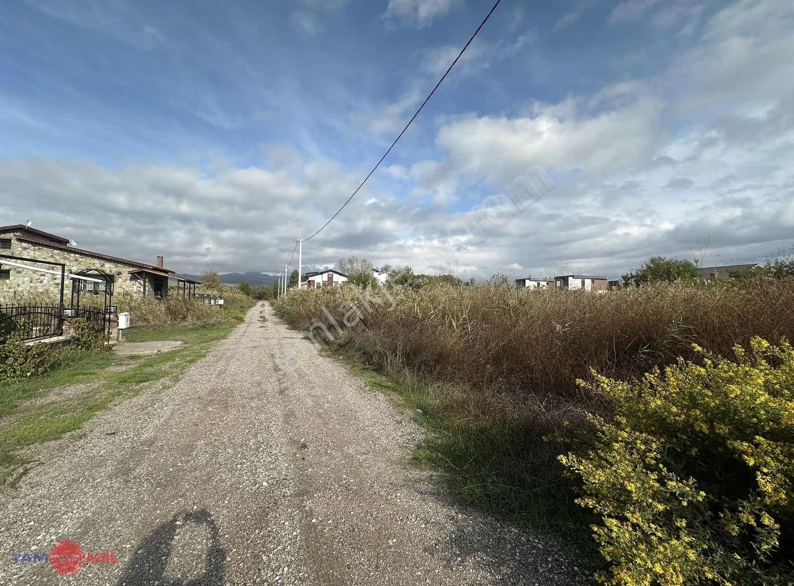 Dikili Kabakum Denize 550 M Mesafede Villa İmarlı Arsa - Görsel 4