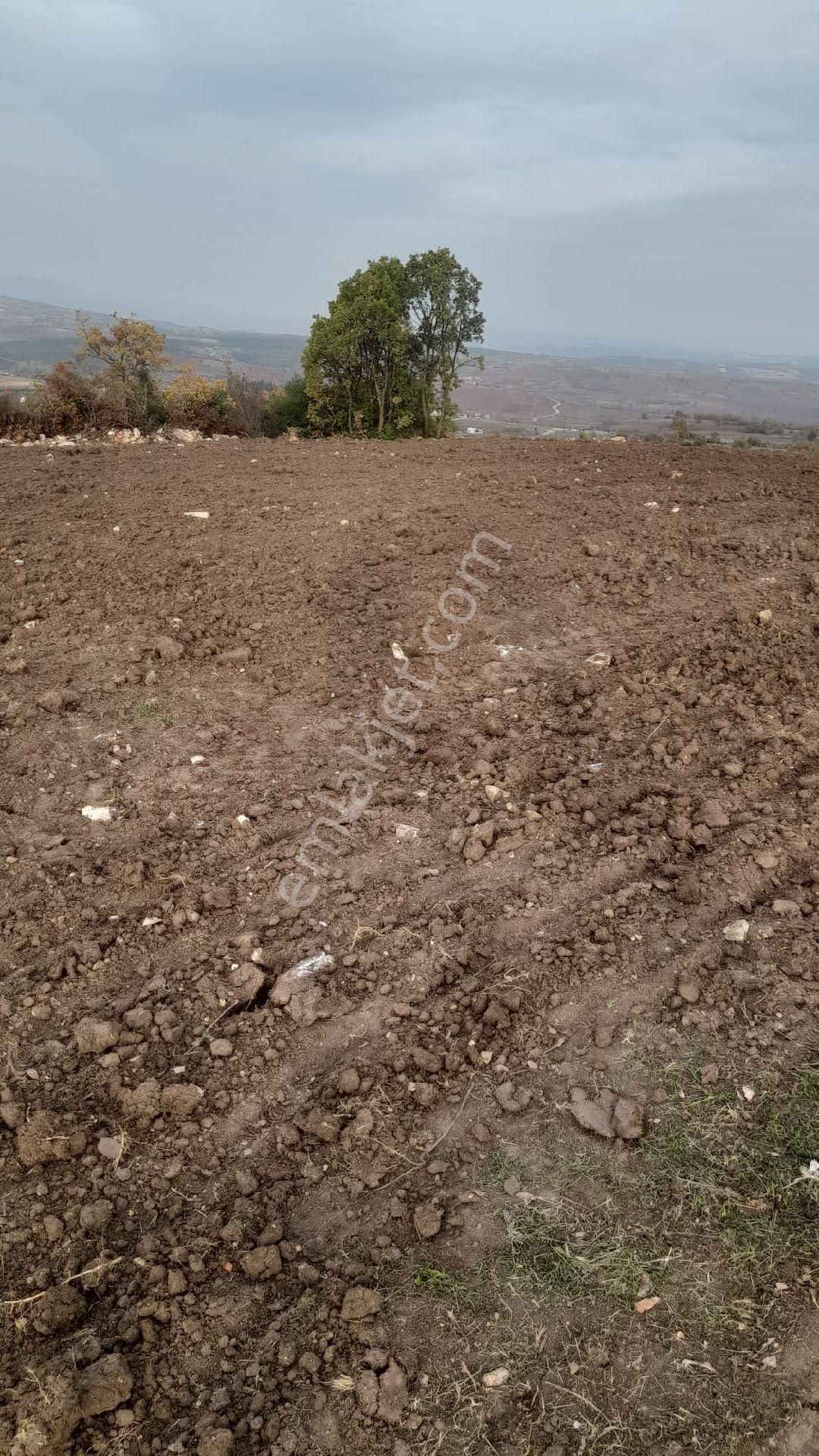 Yenişehir Osmaniye - Görsel 8