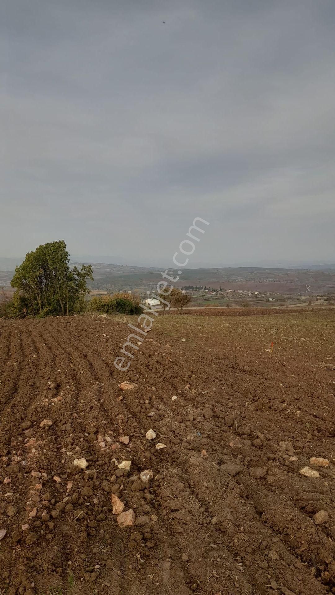 Yenişehir Osmaniye - Görsel 3