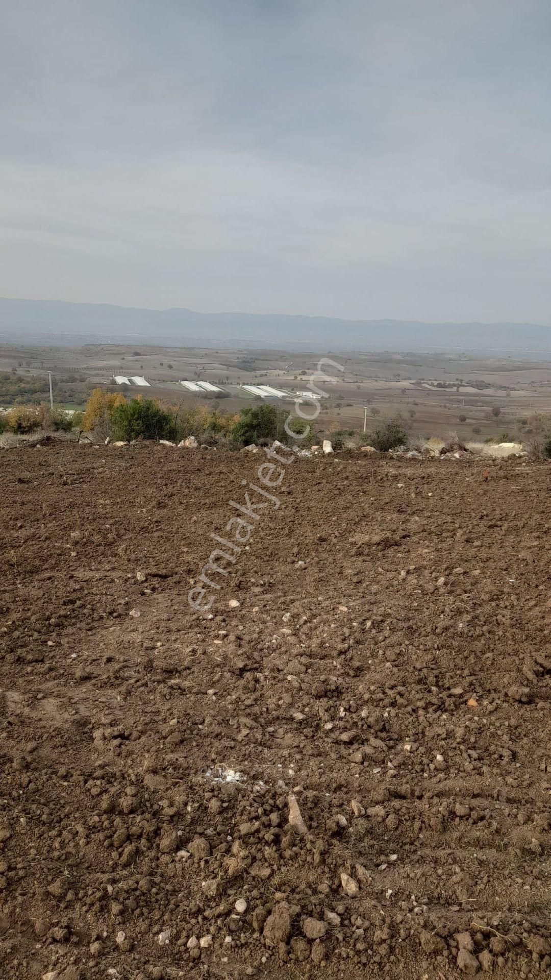 Yenişehir Osmaniye - Görsel 4