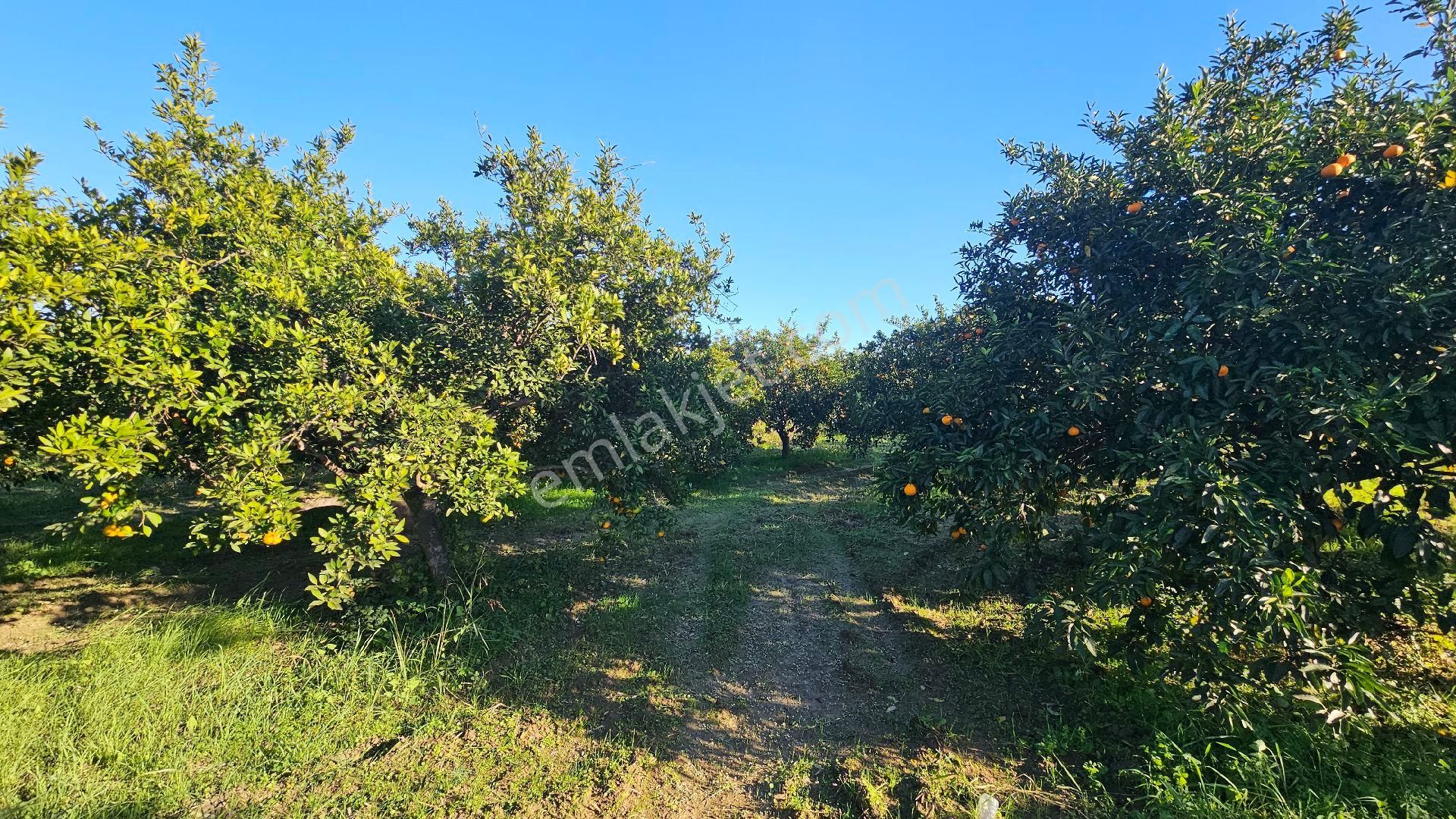 Bereket'te Satılık Müstakil Parsel Tek Tapu 8314 M² Tarla - Görsel 9