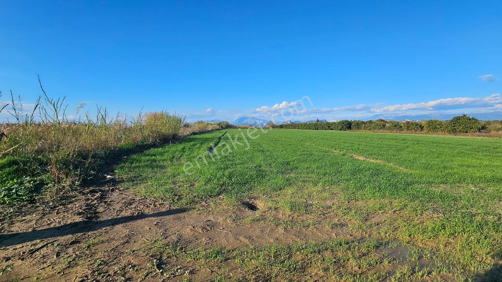 Bereket'te Satılık Müstakil Parsel Tek Tapu 8314 M² Tarla - Görsel 20