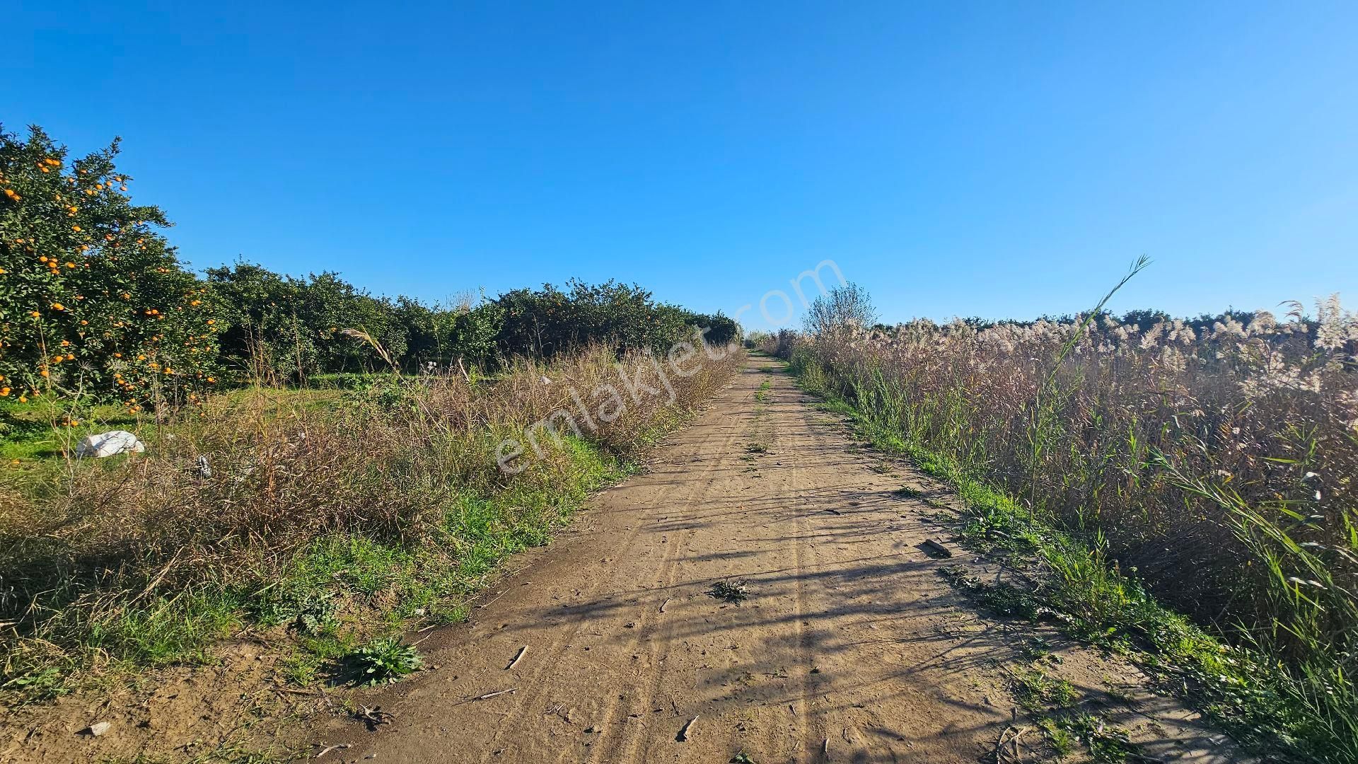 Bereket'te Satılık Müstakil Parsel Tek Tapu 8314 M² Tarla - Görsel 16