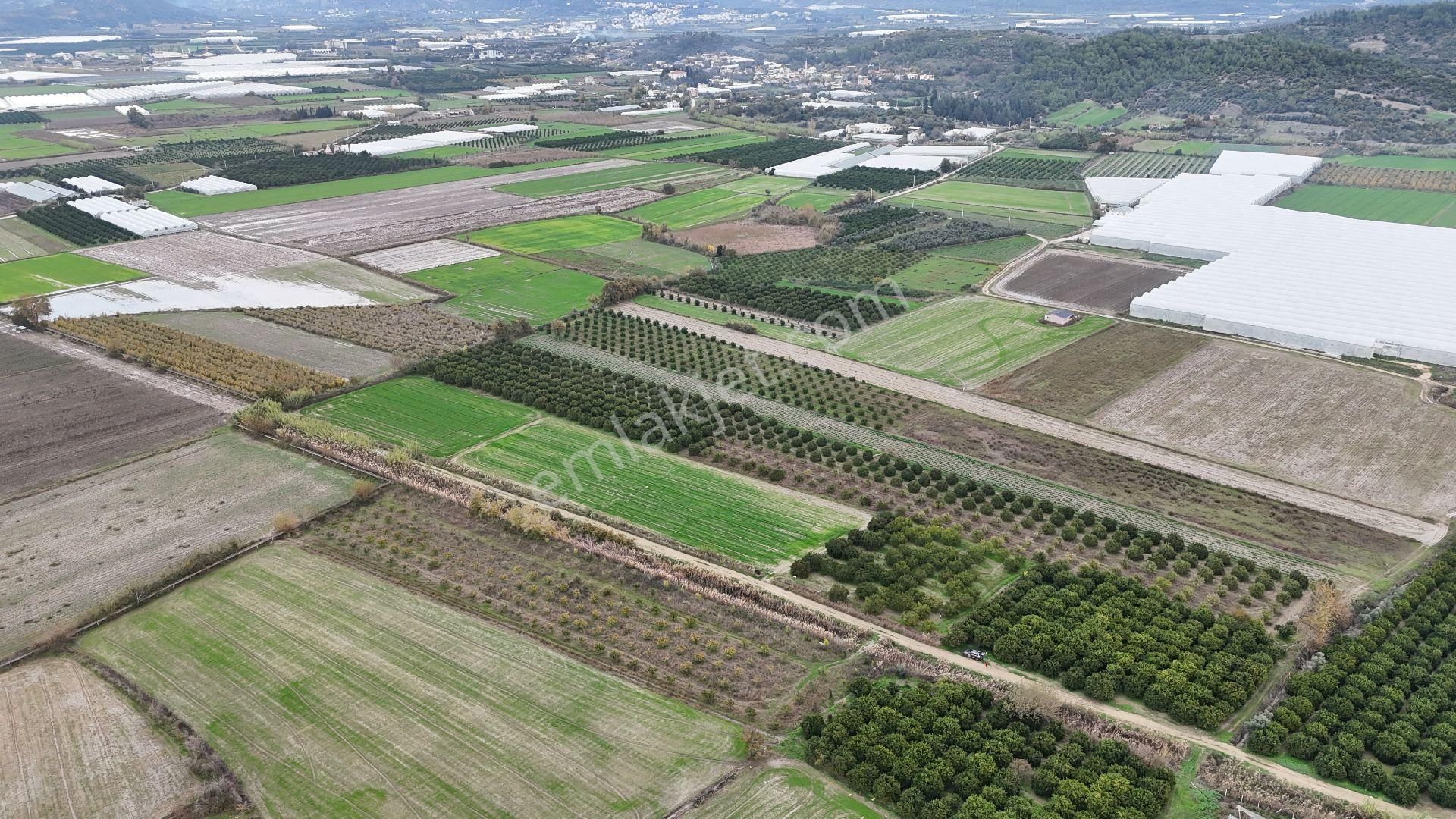 Bereket'te Satılık Müstakil Parsel Tek Tapu 8314 M² Tarla - Görsel 3