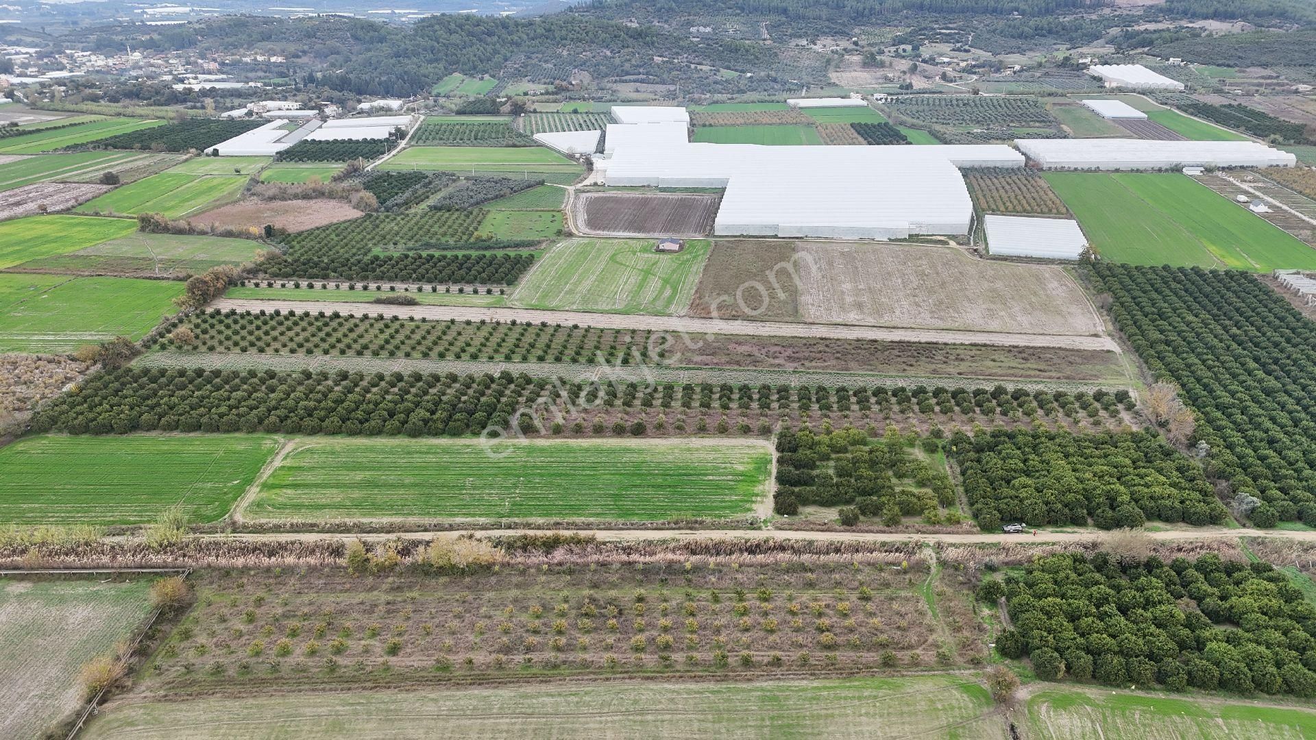 Bereket'te Satılık Müstakil Parsel Tek Tapu 8314 M² Tarla - Görsel 4