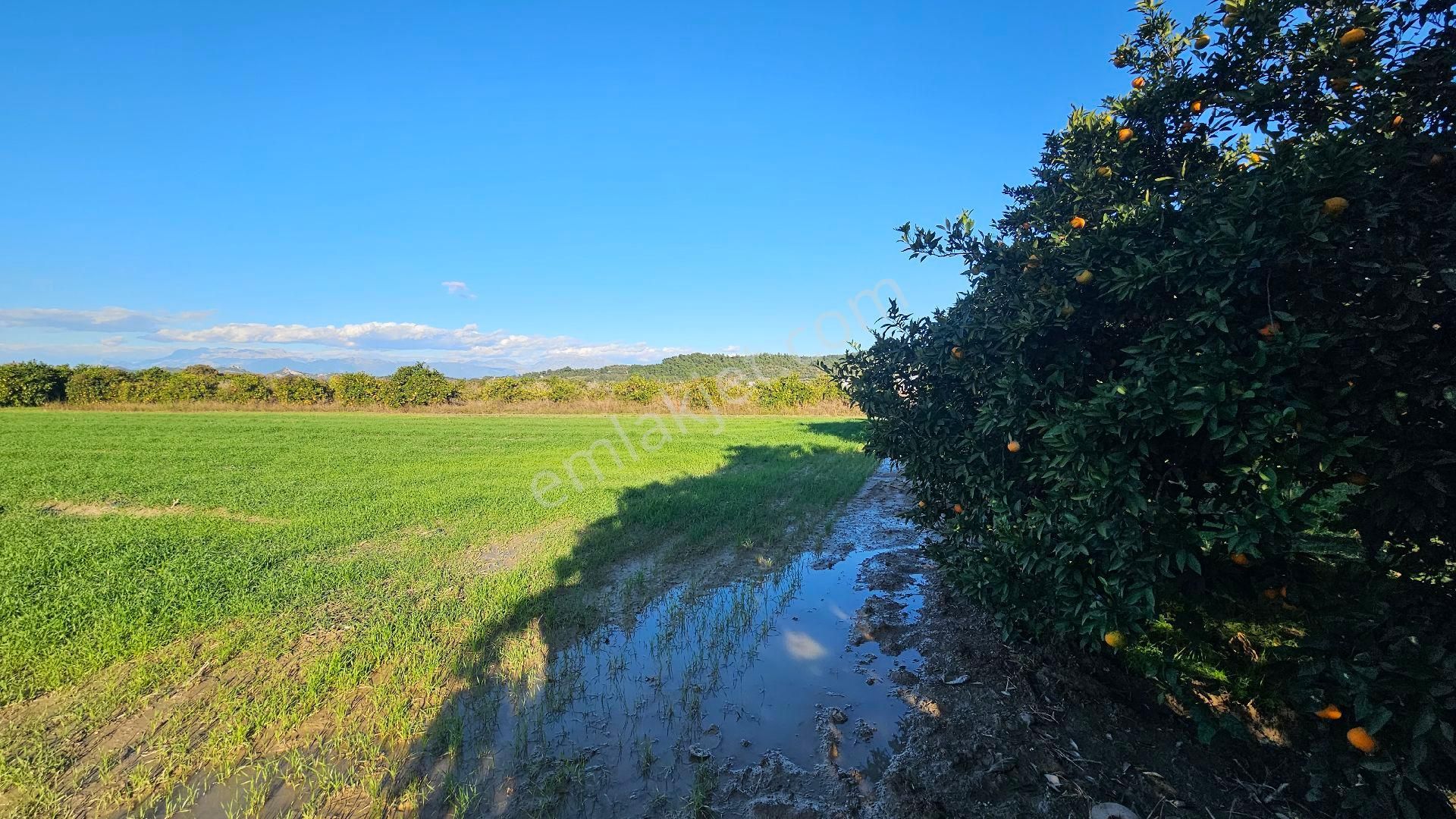 Bereket'te Satılık Müstakil Parsel Tek Tapu 8314 M² Tarla - Görsel 18