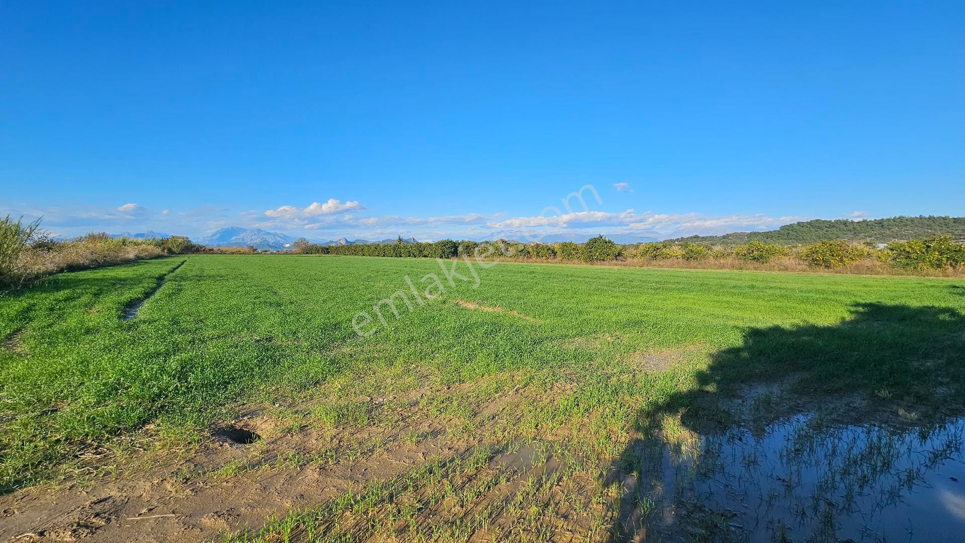 Bereket'te Satılık Müstakil Parsel Tek Tapu 8314 M² Tarla - Görsel 19