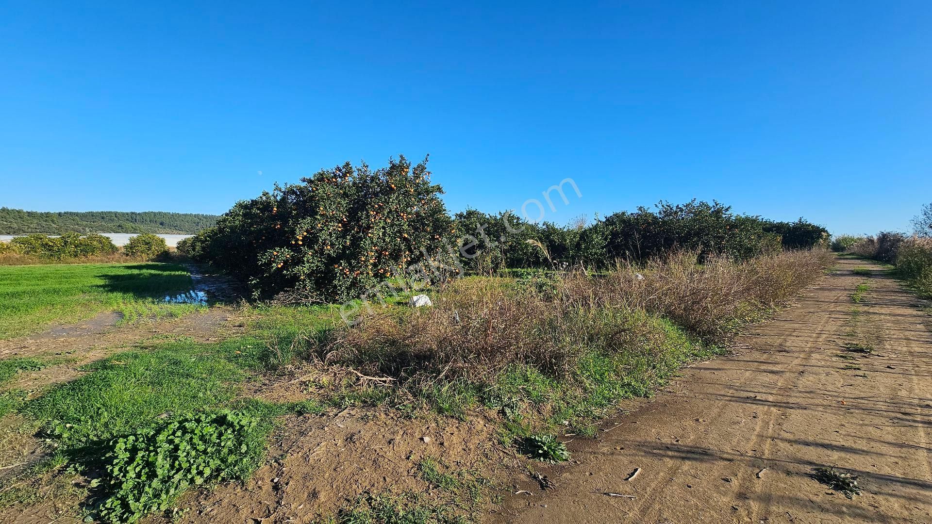 Bereket'te Satılık Müstakil Parsel Tek Tapu 8314 M² Tarla - Görsel 15