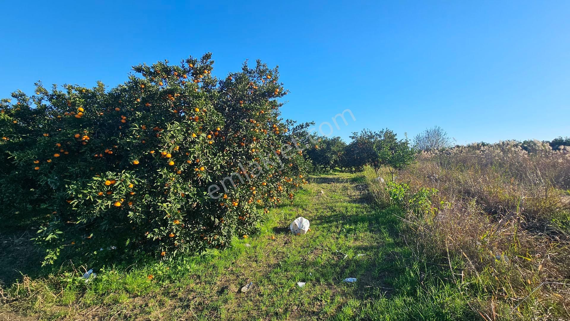 Bereket'te Satılık Müstakil Parsel Tek Tapu 8314 M² Tarla - Görsel 21