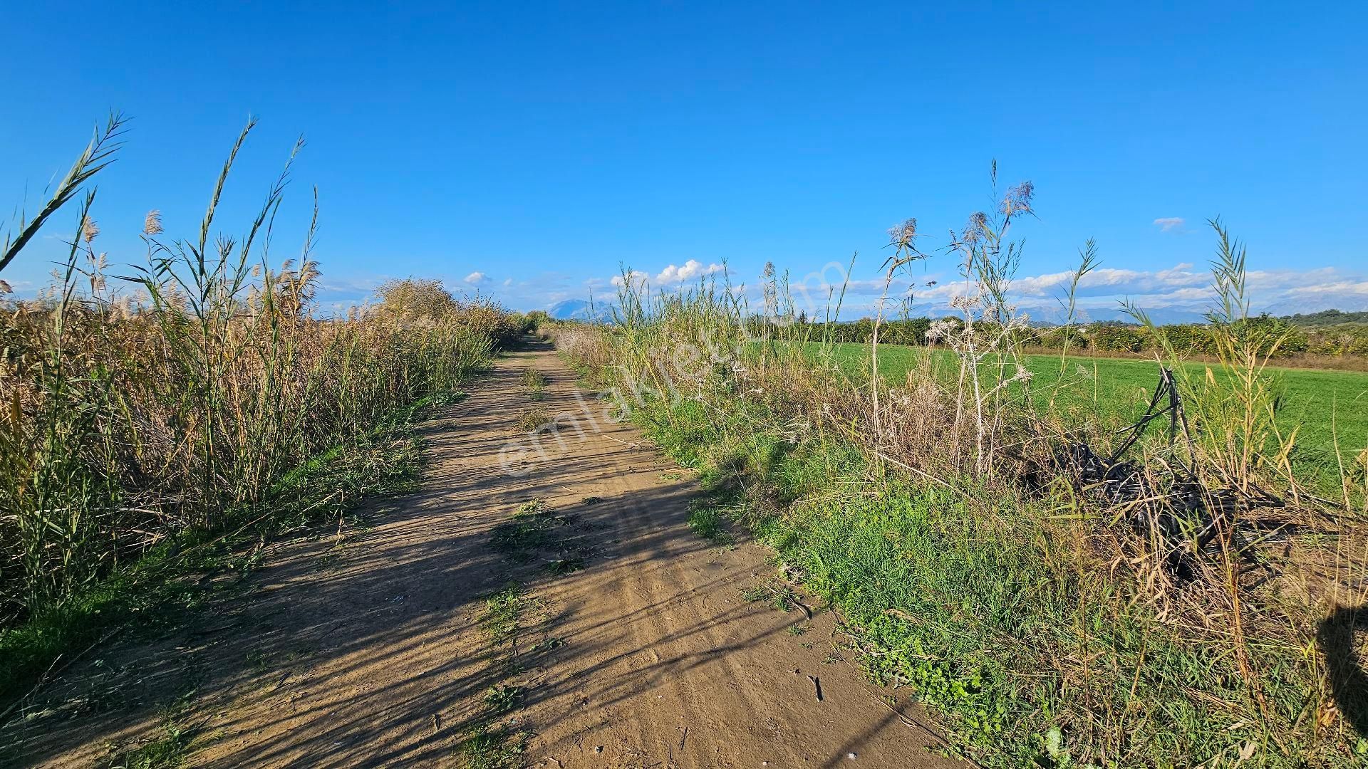 Bereket'te Satılık Müstakil Parsel Tek Tapu 8314 M² Tarla - Görsel 17