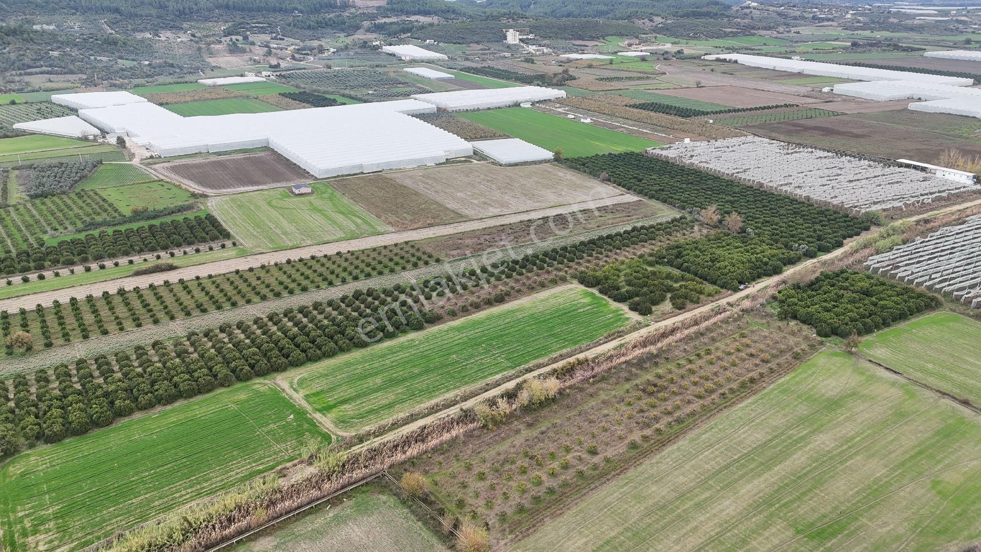 Bereket'te Satılık Müstakil Parsel Tek Tapu 8314 M² Tarla - Görsel 5