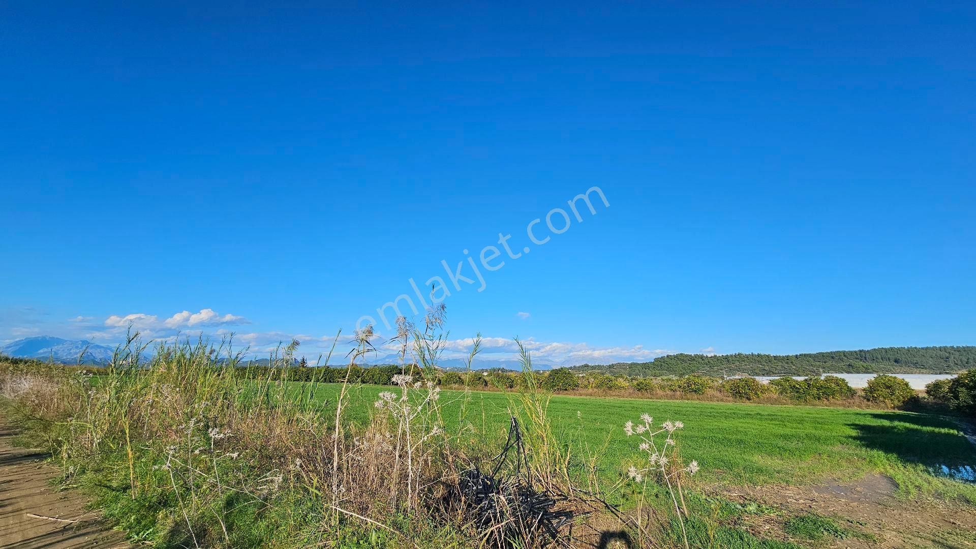 Bereket'te Satılık Müstakil Parsel Tek Tapu 8314 M² Tarla - Görsel 14