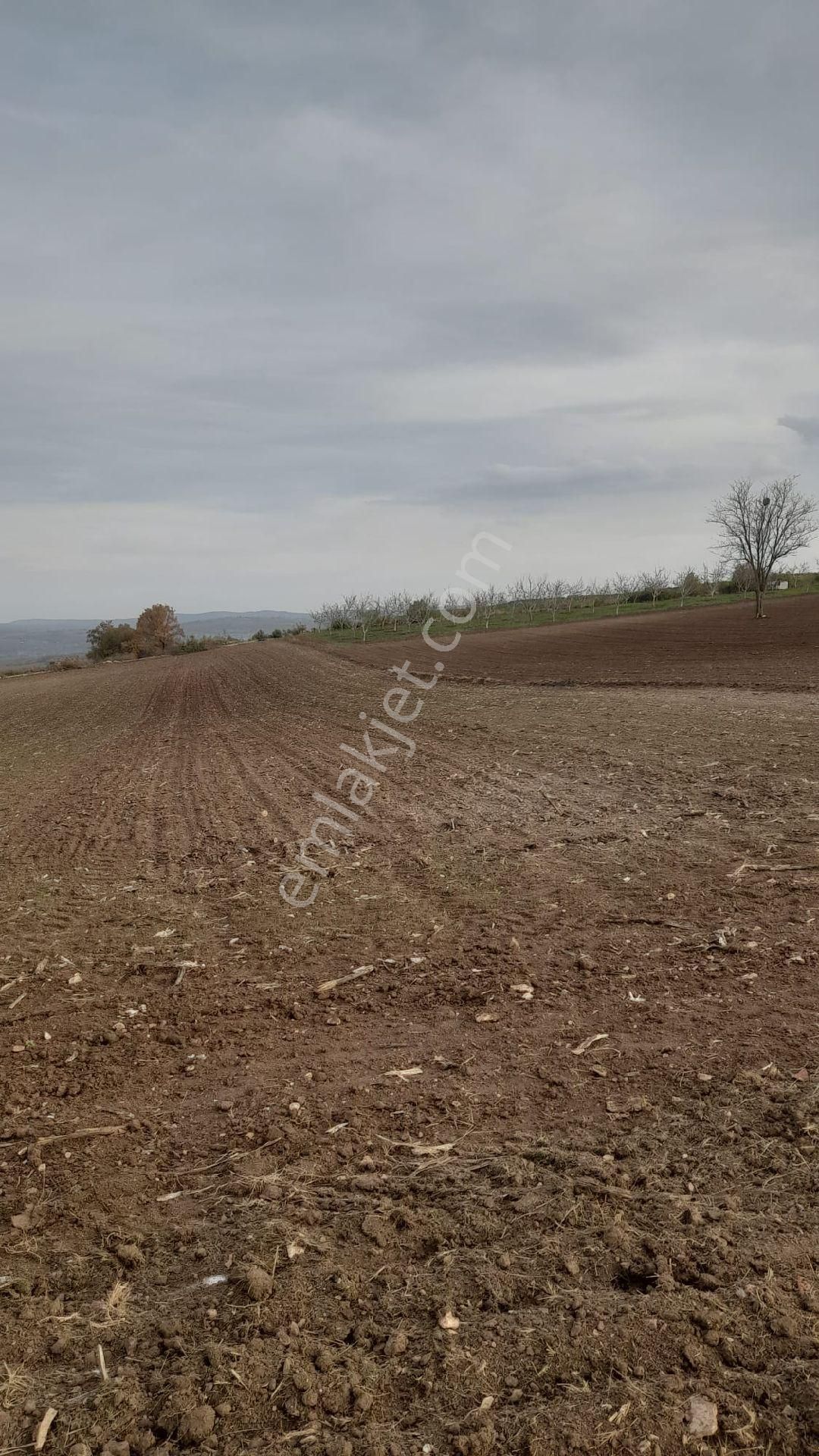 Yenişehir Karaköy - Görsel 2