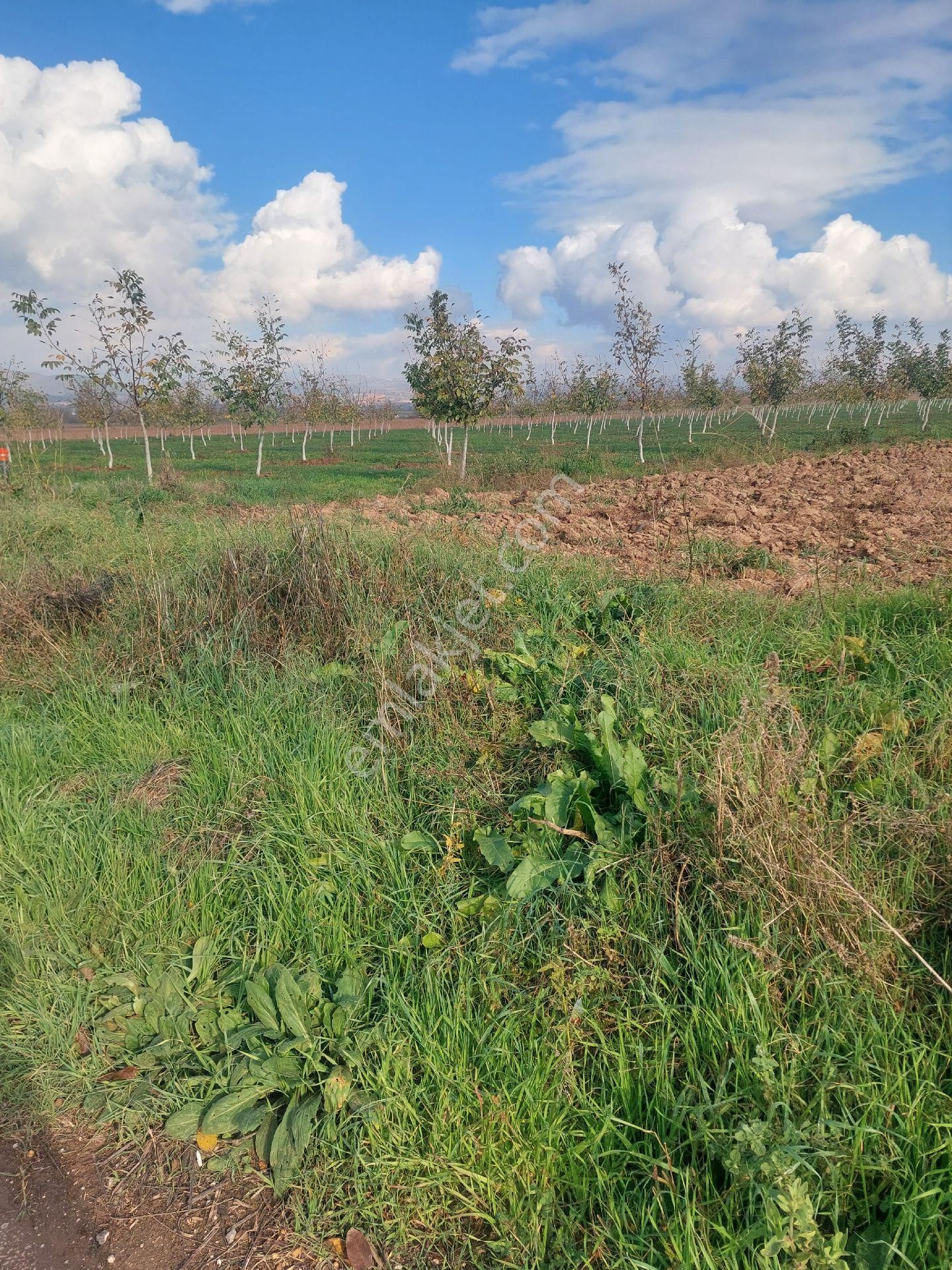 Yenişehir Karaköy - Görsel 5
