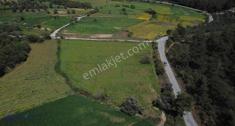 Satılık Milas Kuzyaka 6307m2 Tarla