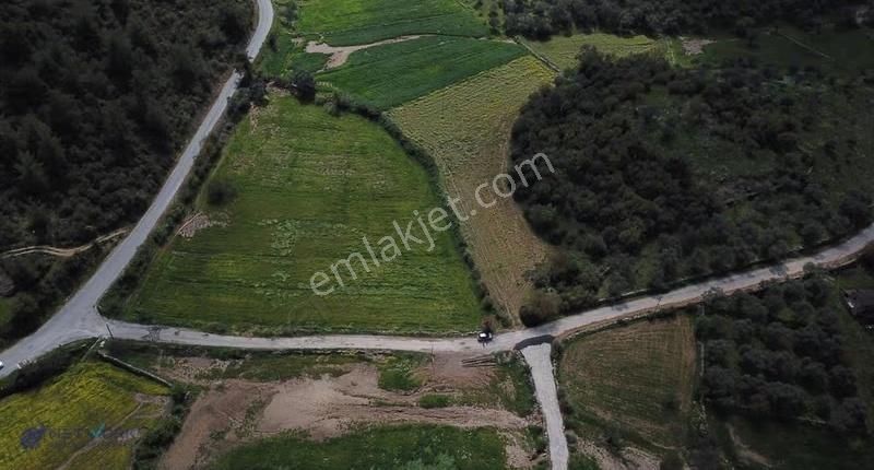 Satılık Milas Kuzyaka 6307m2 Tarla - Görsel 3