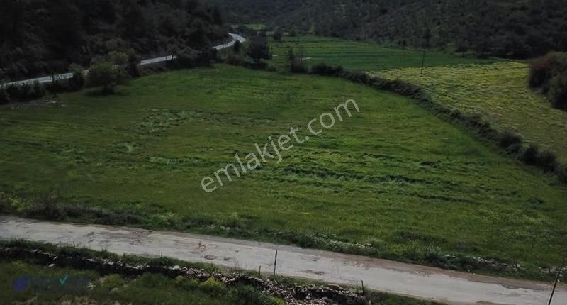 Satılık Milas Kuzyaka 6307m2 Tarla - Görsel 4