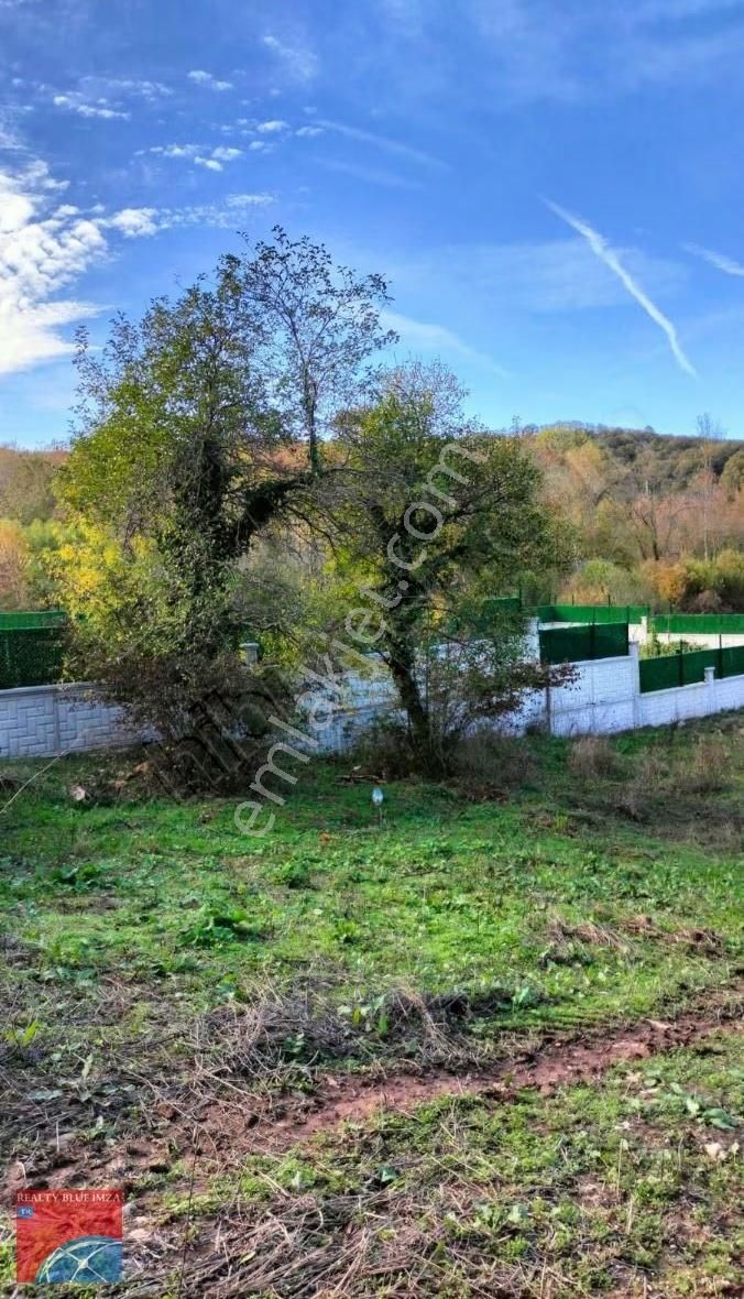 Şile Karabeyli Satılık 1117m2 Arsa (yola Cephe) - Görsel 13