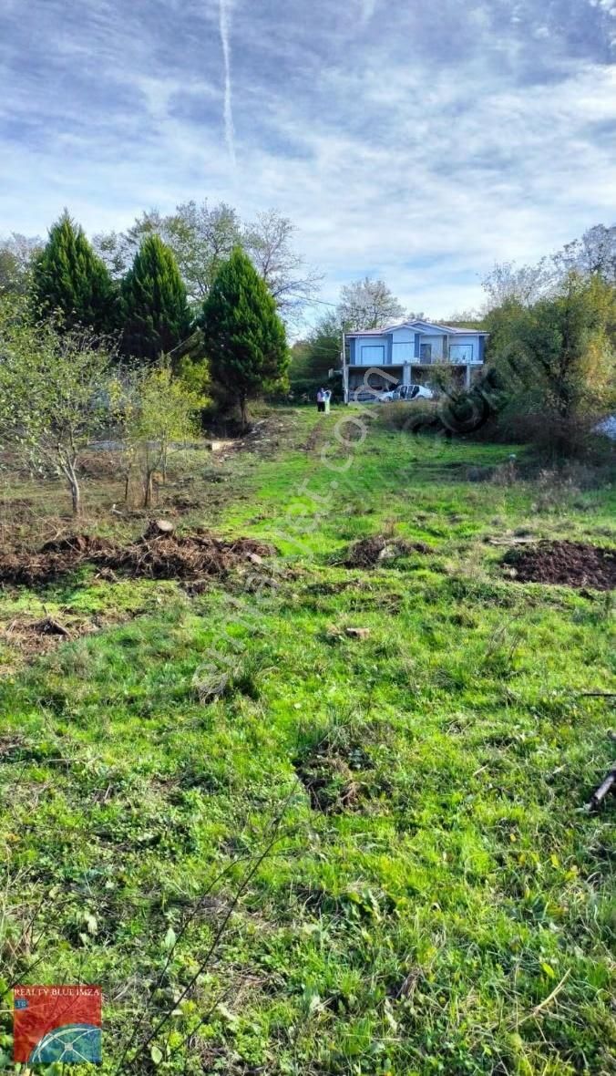 Şile Karabeyli Satılık 1117m2 Arsa (yola Cephe) - Görsel 18