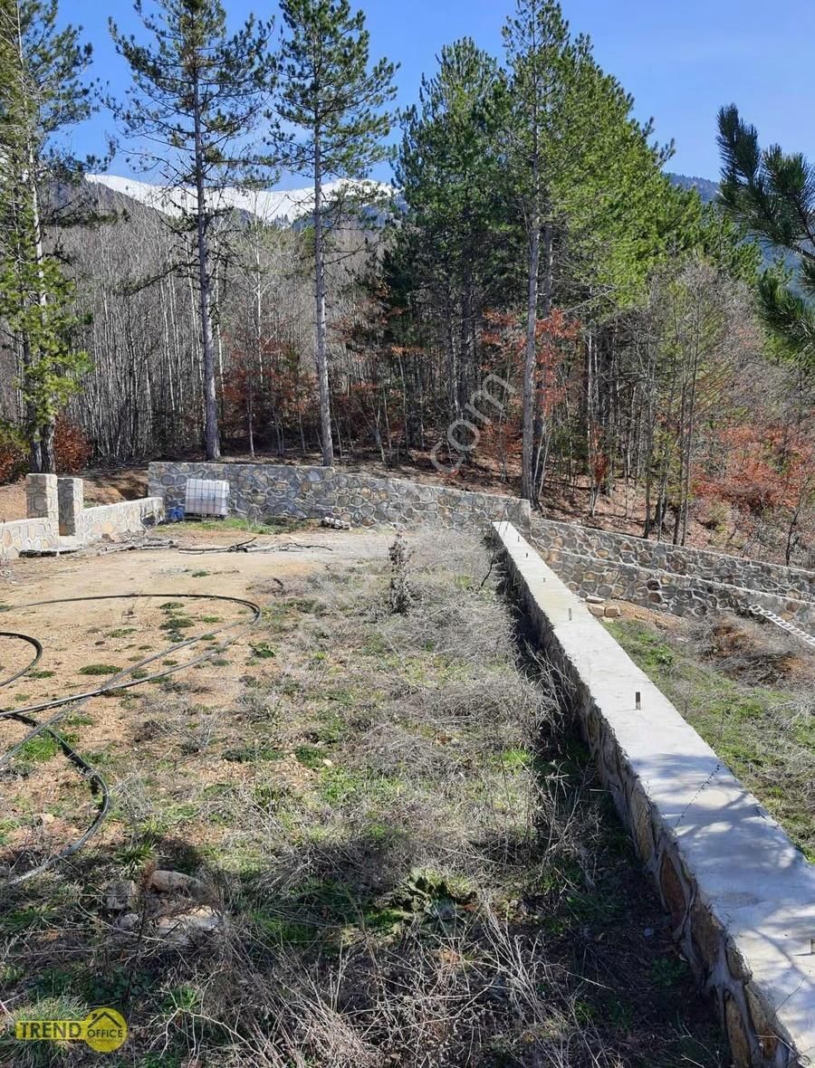 Soğukpınar Köyü 2777 M2 Taş Duvarlarla Çevrili Hobi Bahçesi - Görsel 11