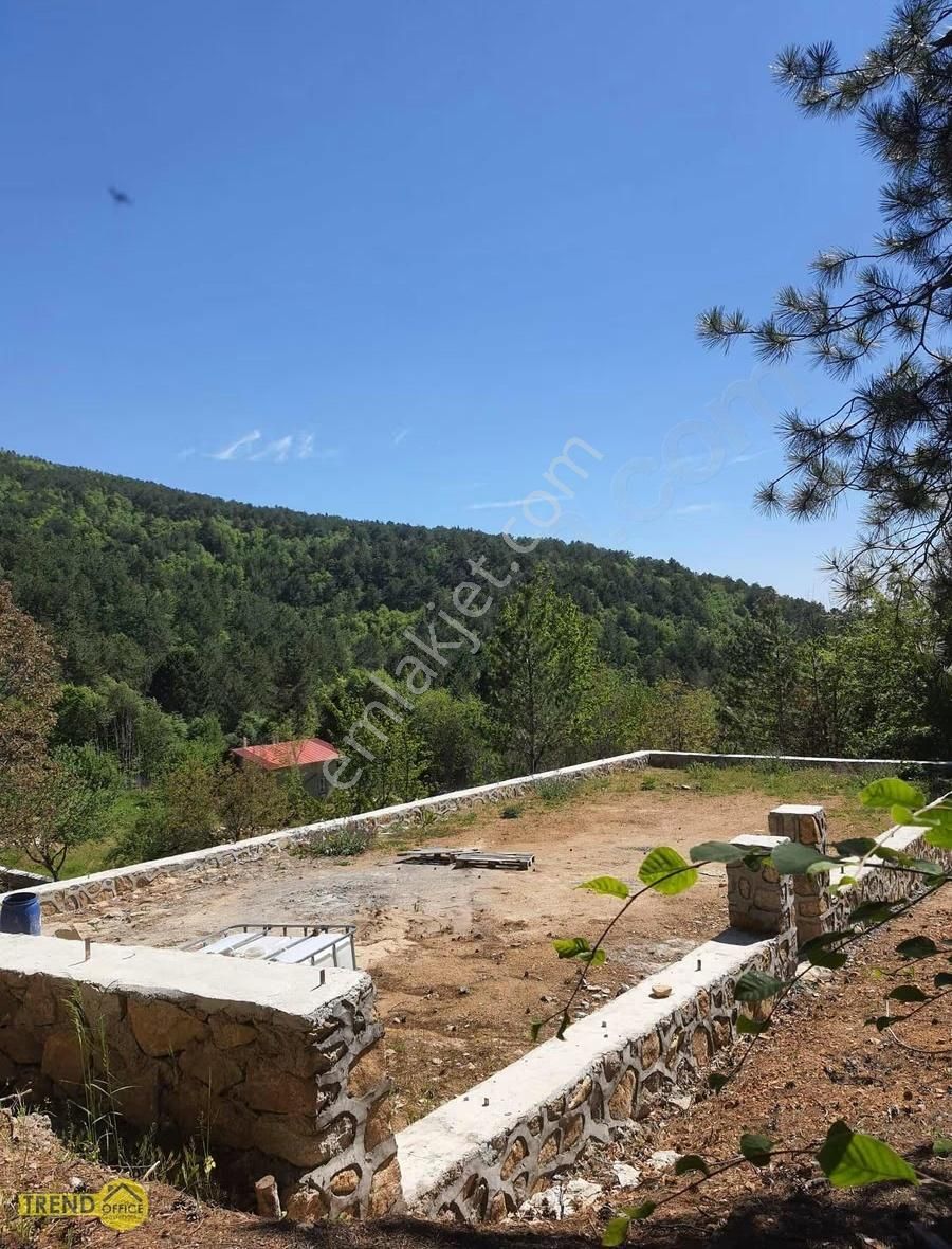 Soğukpınar Köyü 2777 M2 Taş Duvarlarla Çevrili Hobi Bahçesi - Görsel 10