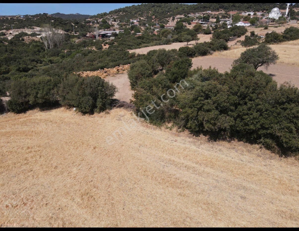 Bağ Evi Ve Çiftlik Yapımına Uygun Büyük M2 Li Tarla - Görsel 6