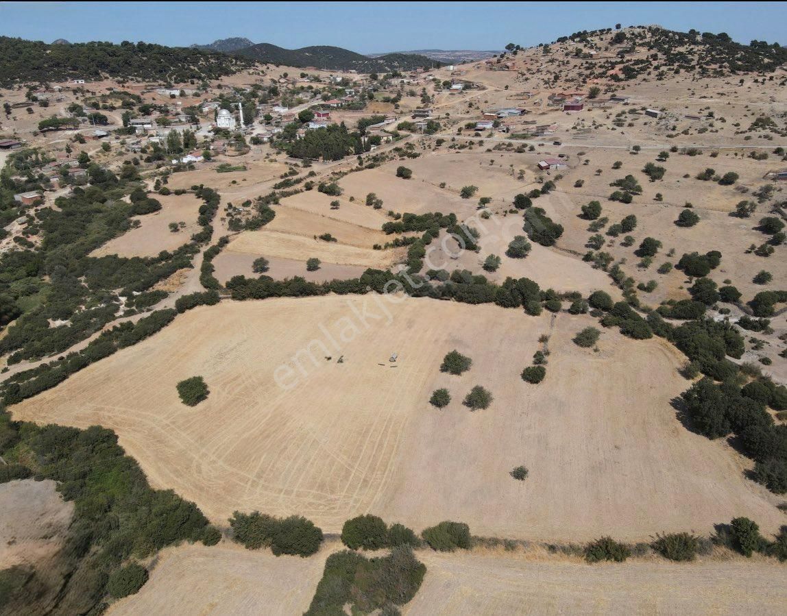 Bağ Evi Ve Çiftlik Yapımına Uygun Büyük M2 Li Tarla - Görsel 3