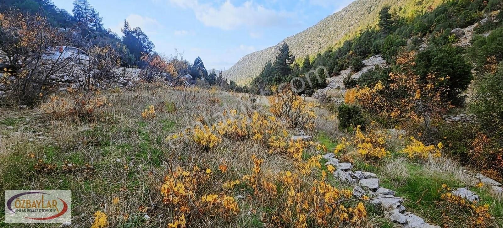 Antalya Akseki Sadıklarda Satılık Bağ Tapulu Arazi Kaçmaz - Görsel 2