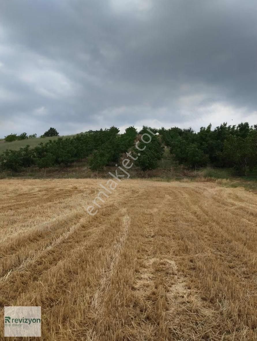 İnegöl Şehitler Karaçamda 4 Dönüm Cevizlik Tarla - Görsel 8