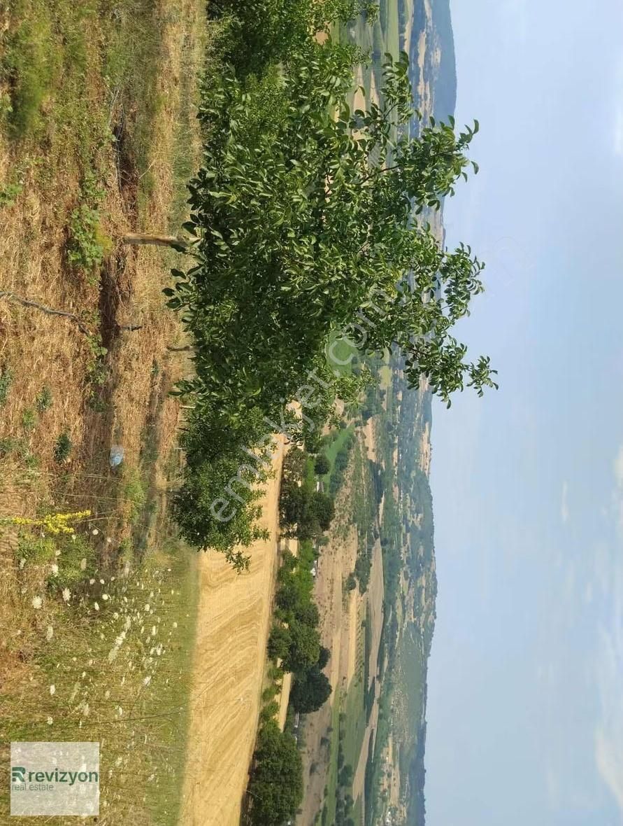 İnegöl Şehitler Karaçamda 4 Dönüm Cevizlik Tarla - Görsel 20