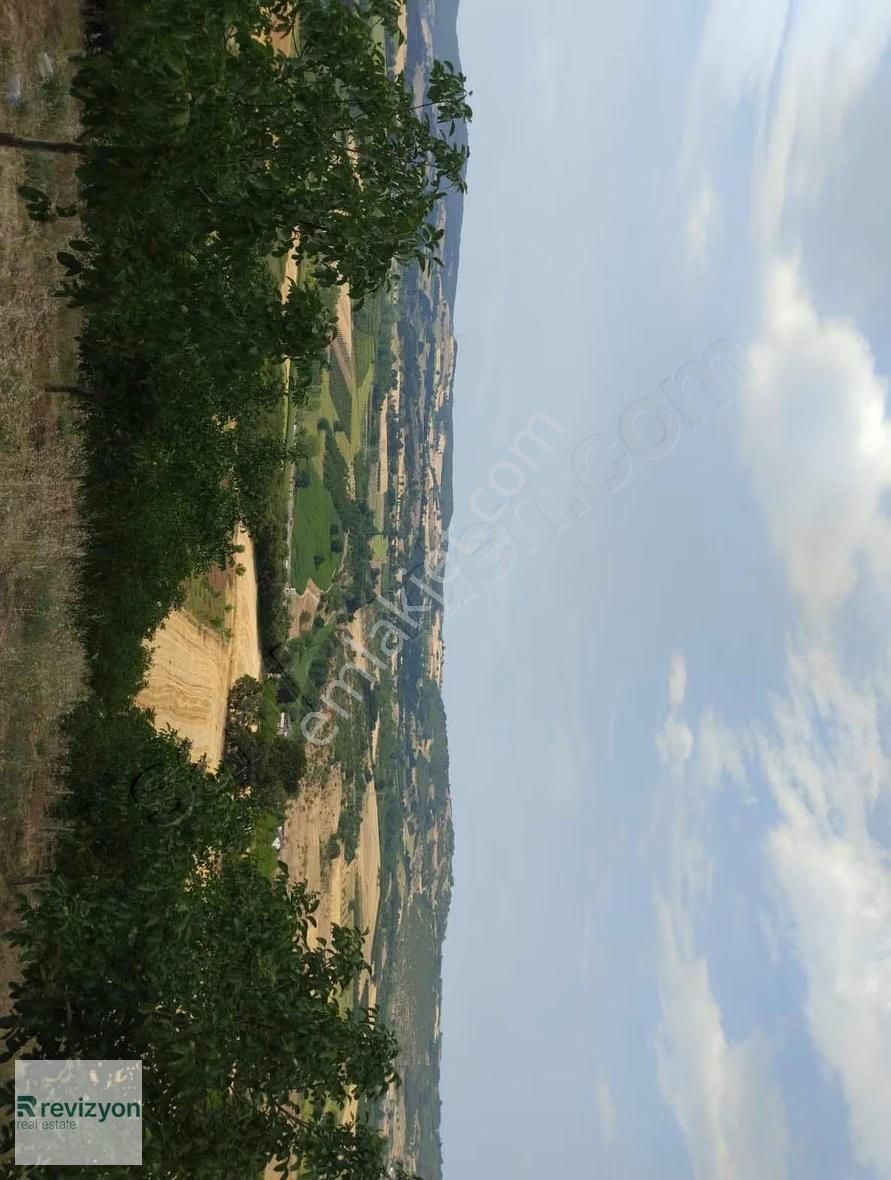 İnegöl Şehitler Karaçamda 4 Dönüm Cevizlik Tarla - Görsel 17