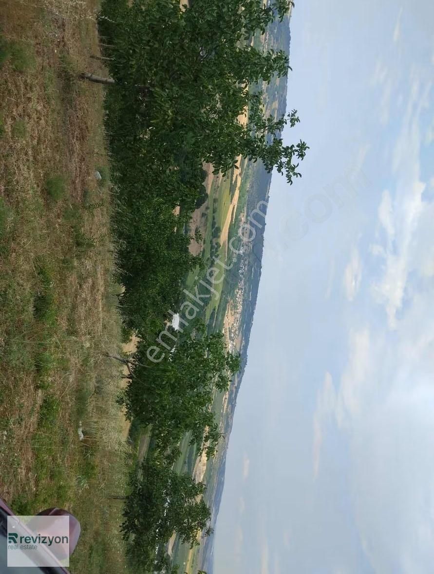 İnegöl Şehitler Karaçamda 4 Dönüm Cevizlik Tarla