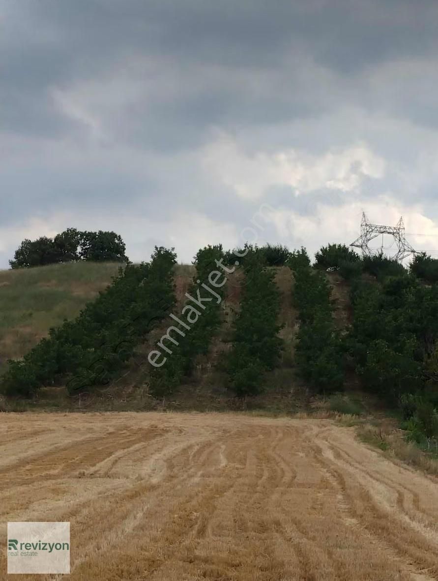 İnegöl Şehitler Karaçamda 4 Dönüm Cevizlik Tarla - Görsel 11