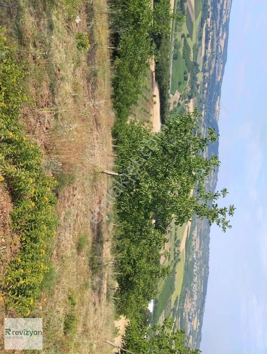 İnegöl Şehitler Karaçamda 4 Dönüm Cevizlik Tarla - Görsel 23