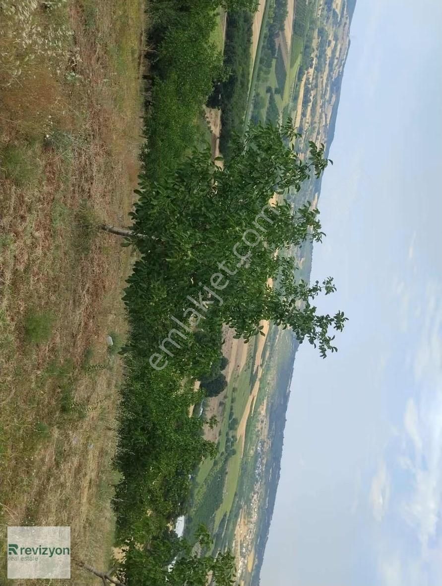 İnegöl Şehitler Karaçamda 4 Dönüm Cevizlik Tarla - Görsel 19