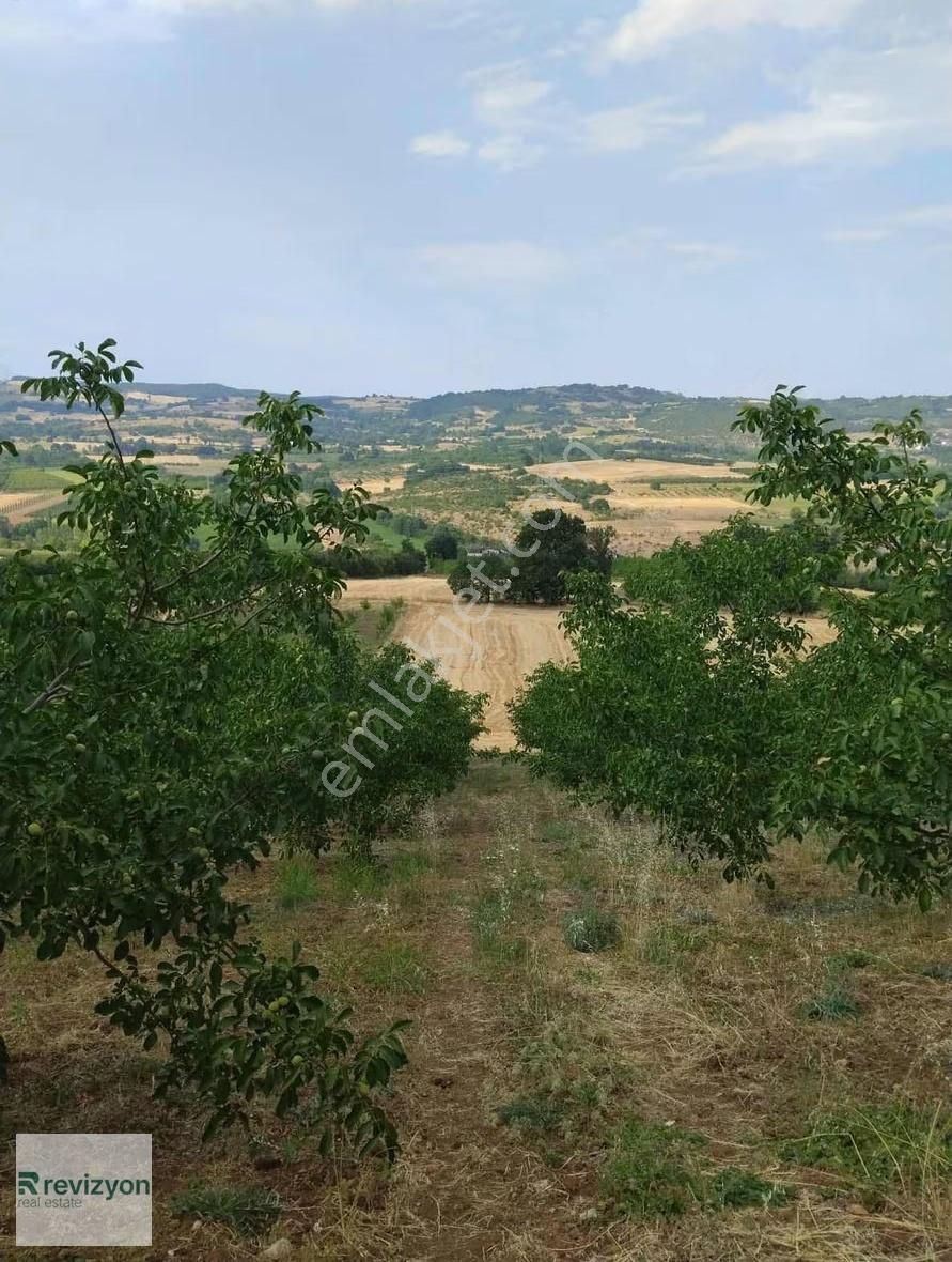 İnegöl Şehitler Karaçamda 4 Dönüm Cevizlik Tarla - Görsel 15