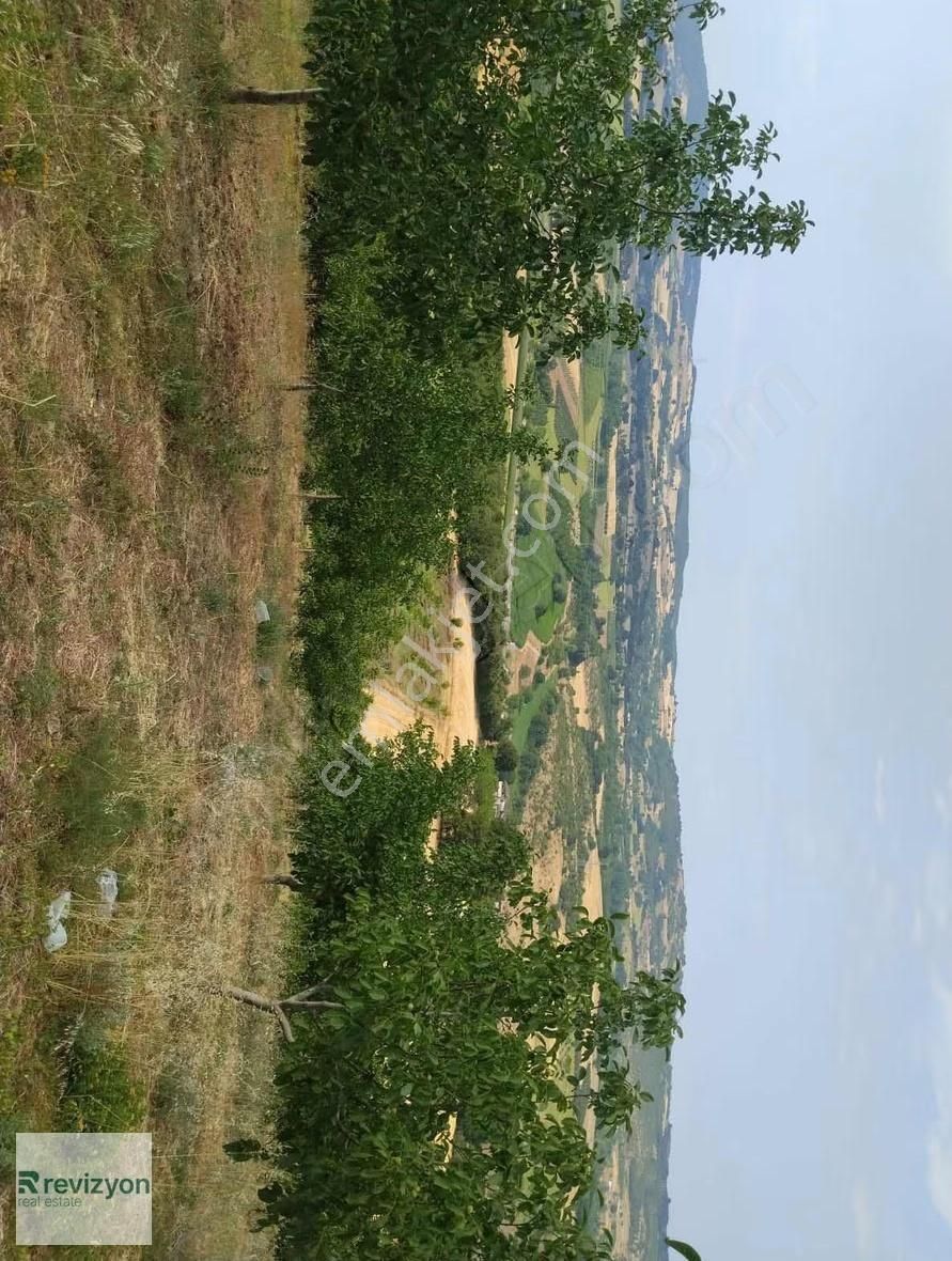 İnegöl Şehitler Karaçamda 4 Dönüm Cevizlik Tarla - Görsel 6