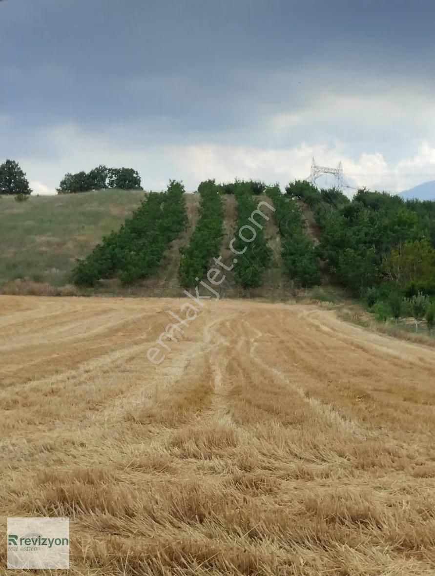 İnegöl Şehitler Karaçamda 4 Dönüm Cevizlik Tarla - Görsel 12