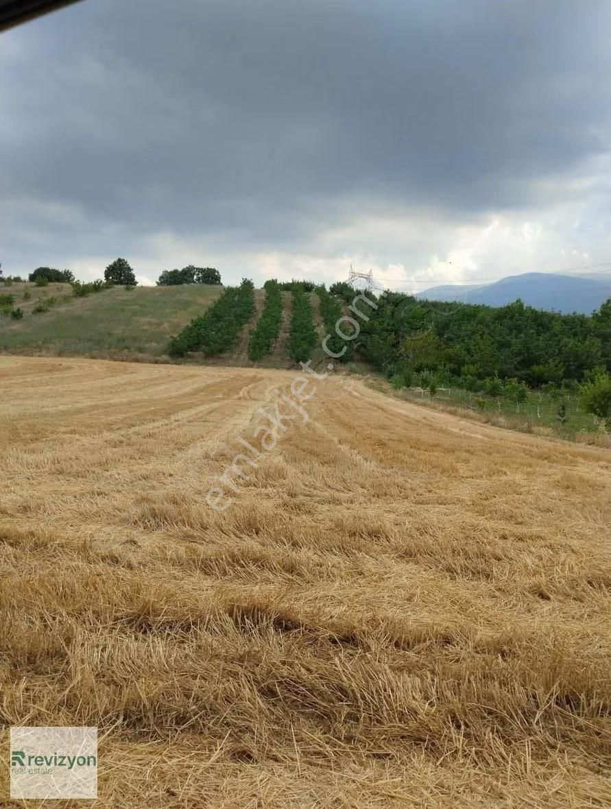 İnegöl Şehitler Karaçamda 4 Dönüm Cevizlik Tarla - Görsel 18