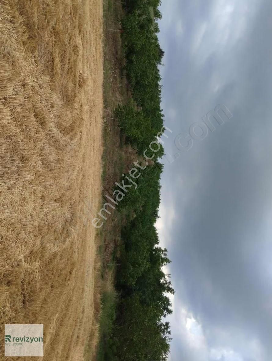 İnegöl Şehitler Karaçamda 4 Dönüm Cevizlik Tarla - Görsel 2